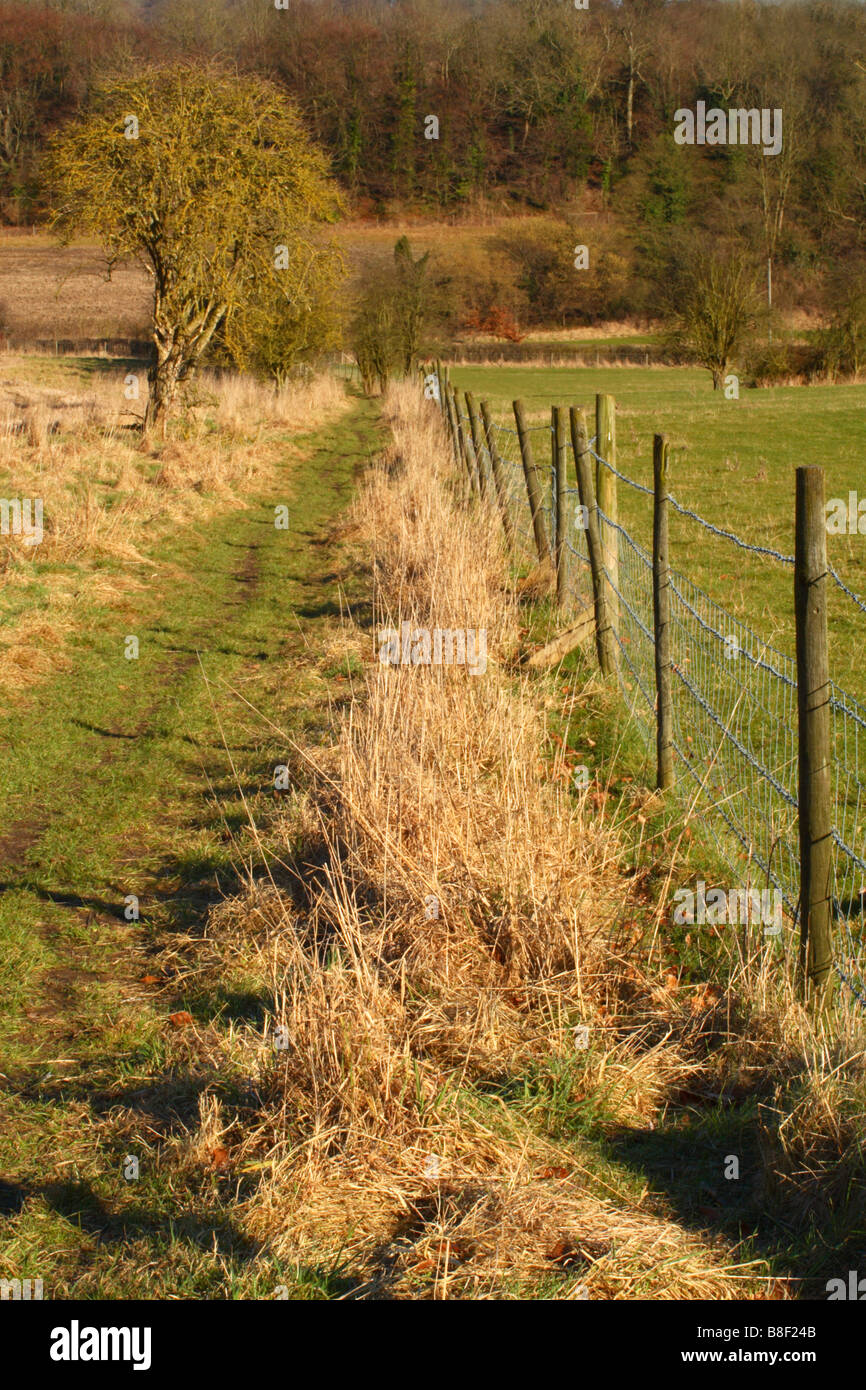 Un sentier public aux côtés de champs dans la vallée Hughenden, High Wycombe, Buckinghamshire, Royaume-Uni Banque D'Images
