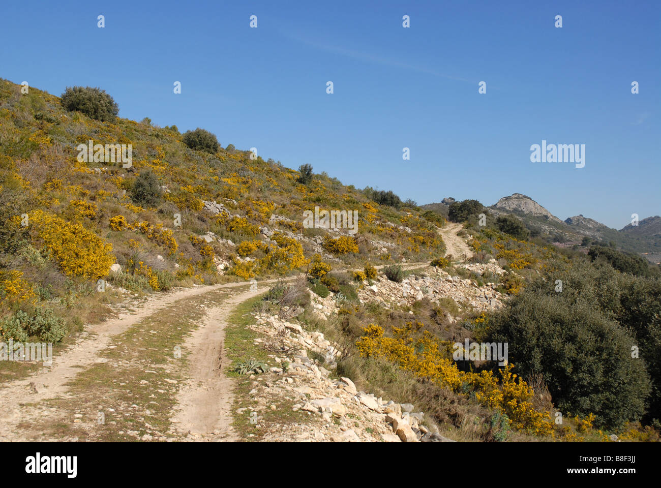 Piste de montagne, près de Benimaurell, Vall de Laguar, province d'Alicante, Communauté Valencienne, Espagne Banque D'Images