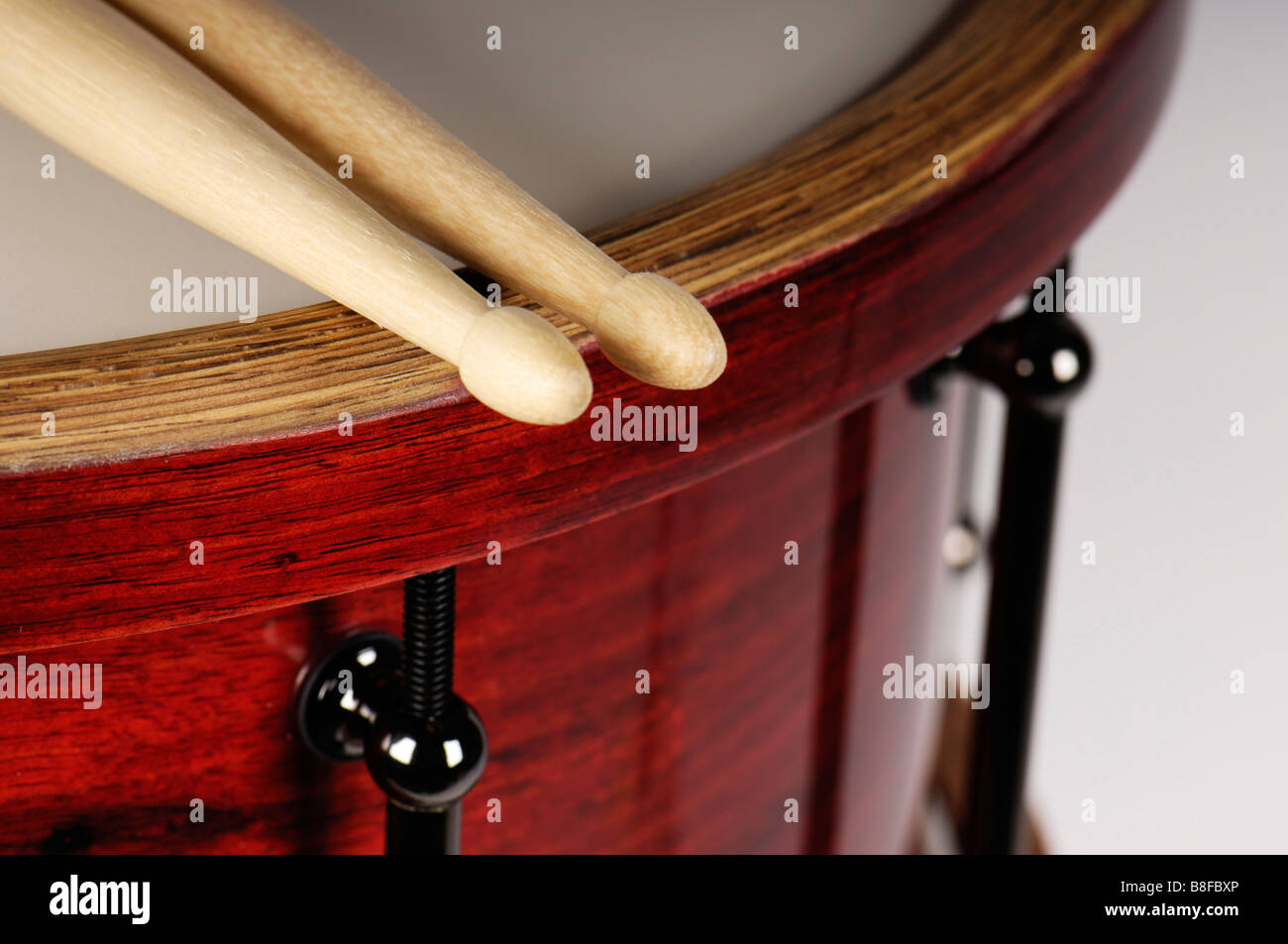 Une caisse claire faite avec placage bois australienne par Shannon tambours, l'ouest de l'Australie. Banque D'Images