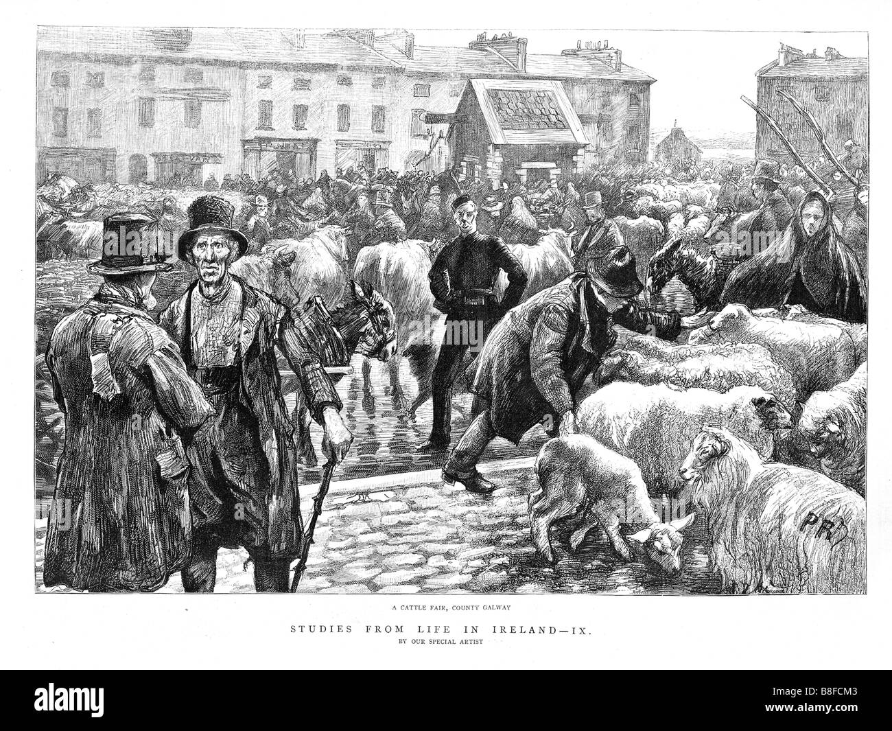 Galway juste Bovins 1888 Gravure de la vie en Irlande avec un pays du marché de l'élevage Banque D'Images