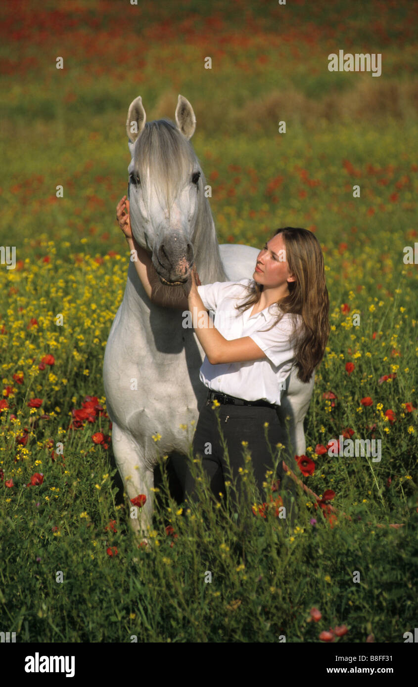 Cheval andalou (Equus ferus caballus). Jeune femme debout à côté de White Horse Banque D'Images