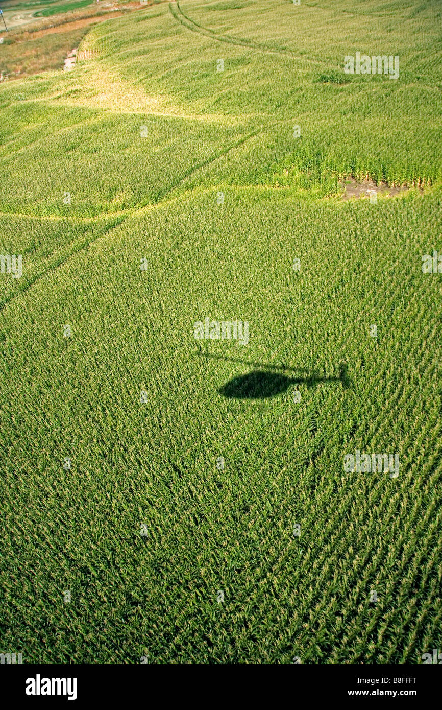 Vue aérienne d'un champ de maïs avec l'ombre d'un hélicoptère dans la région de Jerome Idaho USA Banque D'Images