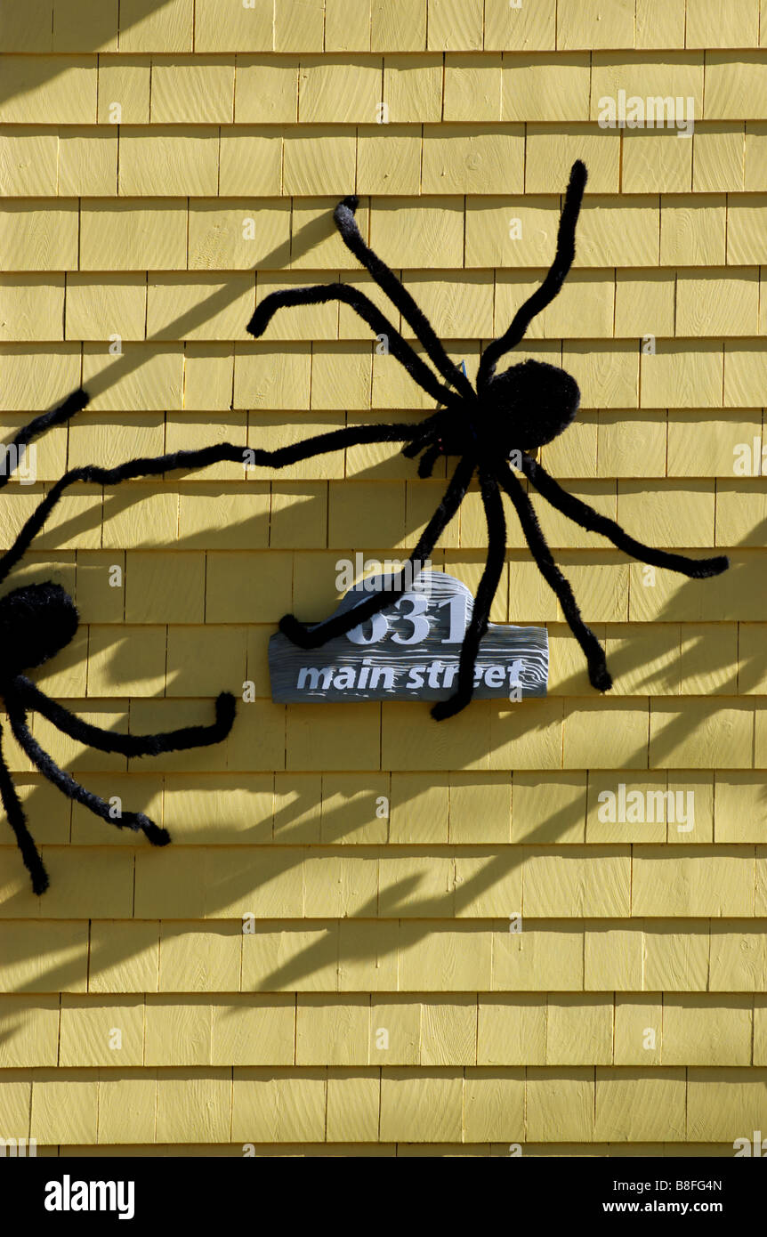 Big furry araignées dans une fenêtre de la chambre comme décoration halloween Banque D'Images