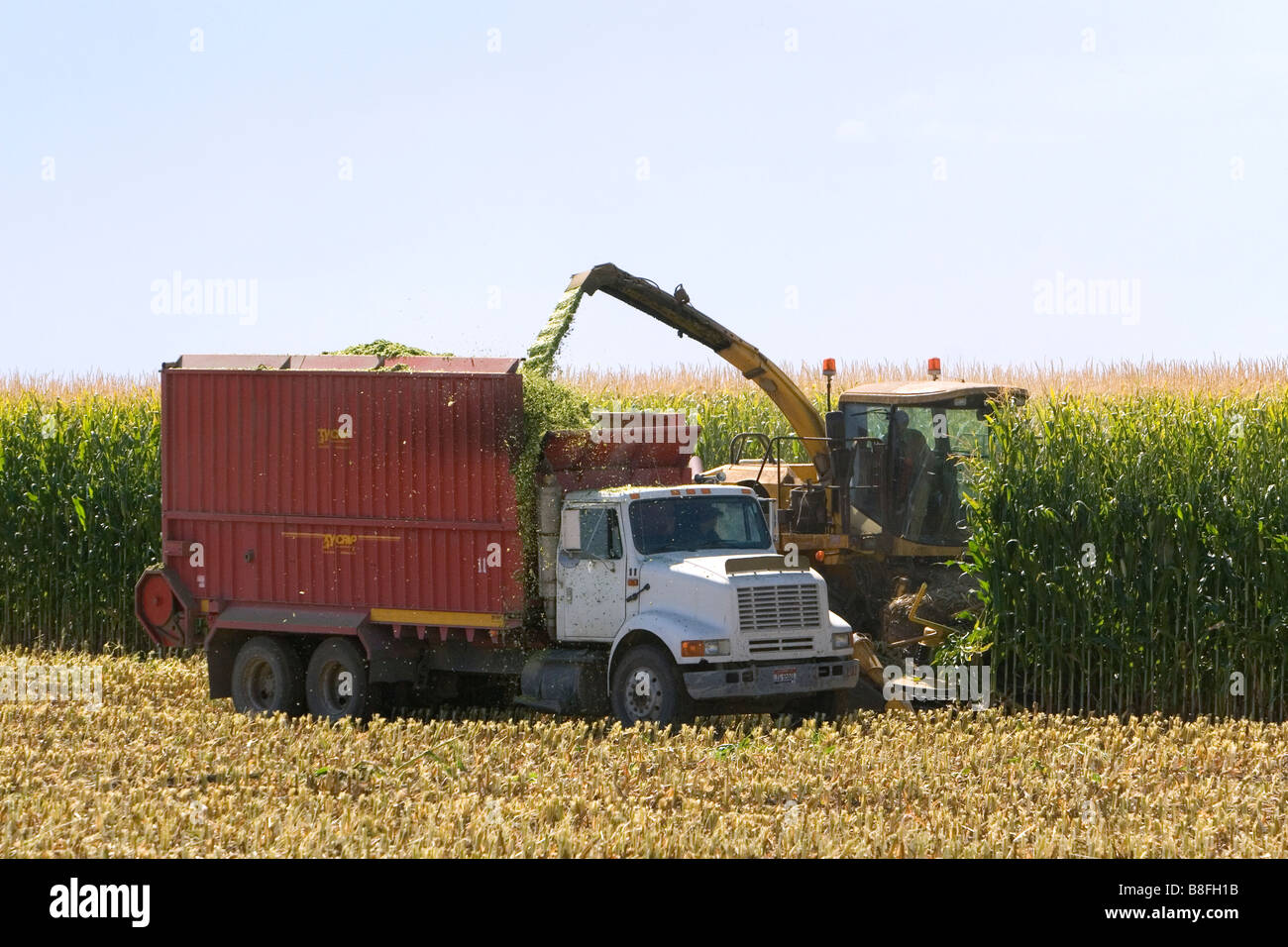 L'ensileuse maïs près de Jerome California USA Banque D'Images