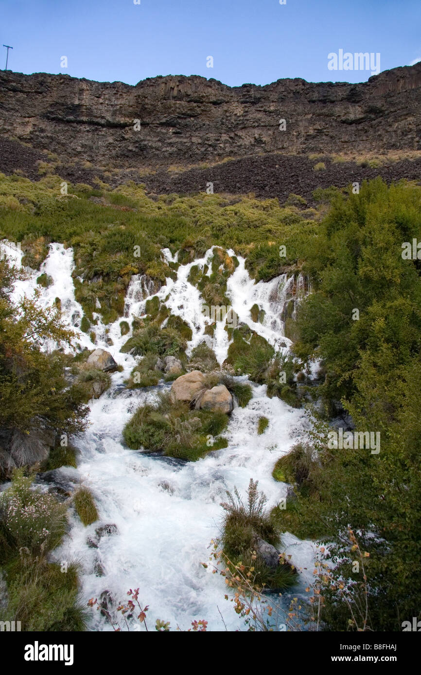Sources d'eau douce à Niagra Springs State Park à Hagerman Texas USA Banque D'Images