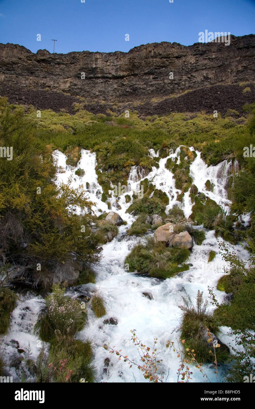 Sources d'eau douce à Niagra Springs State Park à Hagerman Texas USA Banque D'Images