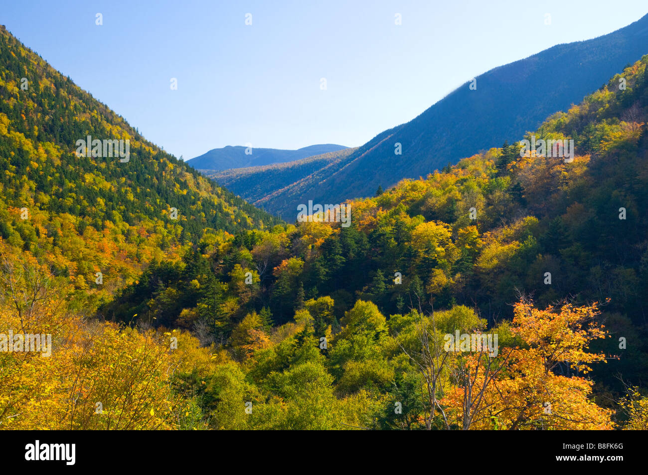 Vue panoramique de feuillage d'automne couleur à Crawford Notch New Hampshire USA Banque D'Images