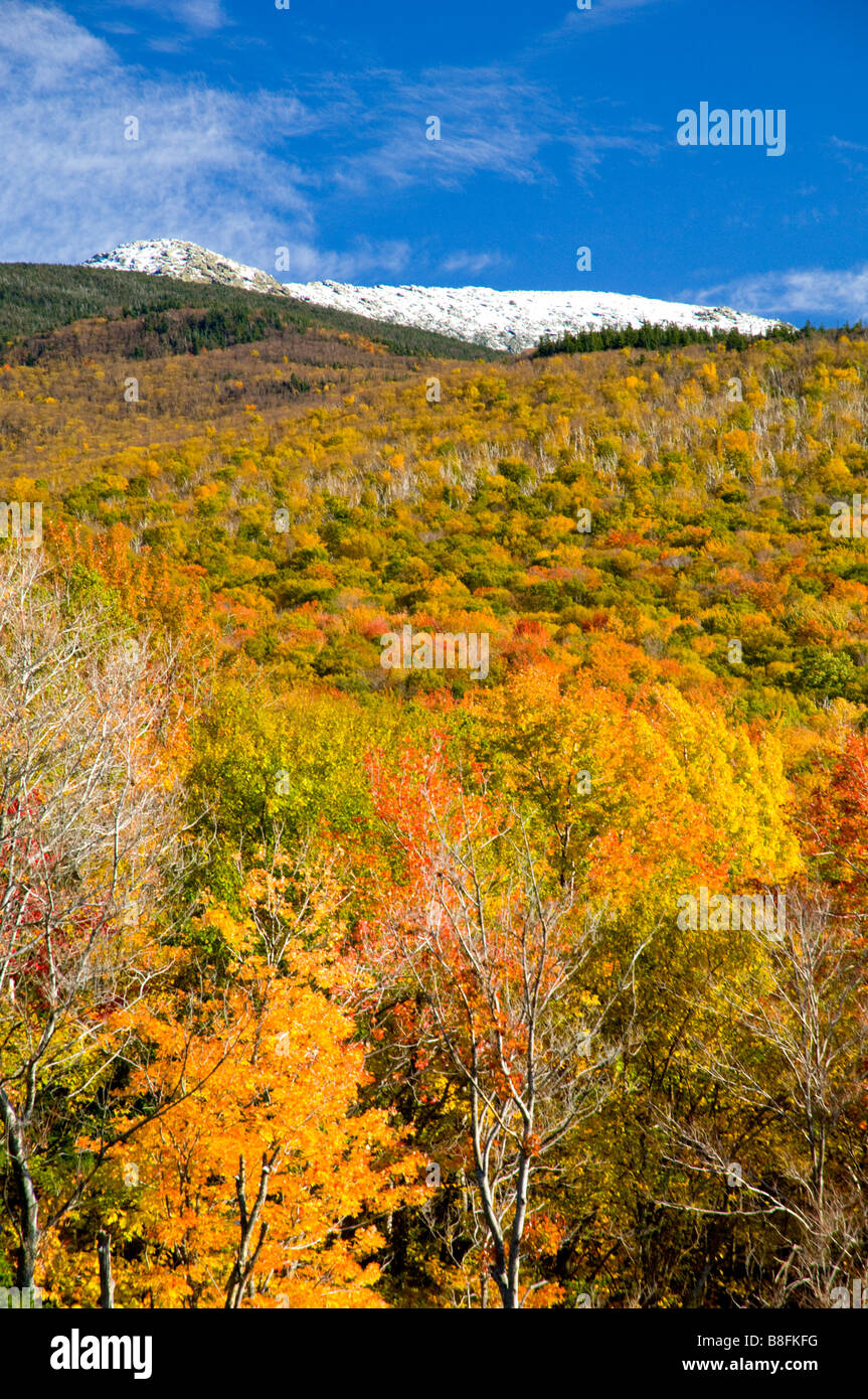 La couleur des feuilles d'automne avec de la neige sur le mont Lafayette et les montagnes Blanches du New Hampshire USA Banque D'Images