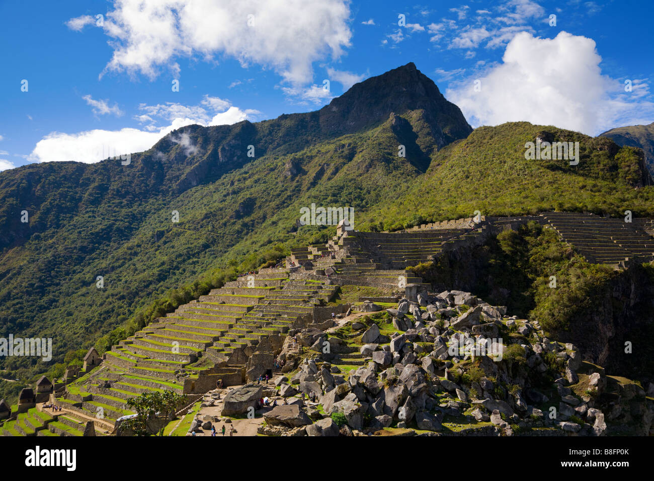 Terrasses à Machu Picchu Banque D'Images
