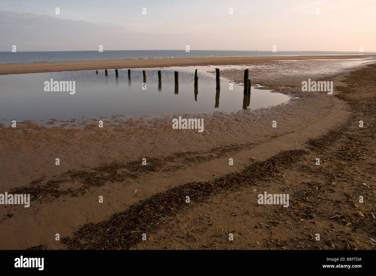 Lever du soleil sur une plage de Norfolk avec de vieux poteaux de bois reflète dans une piscine de l'eau, Brancaster, Norfolk, England, UK Banque D'Images
