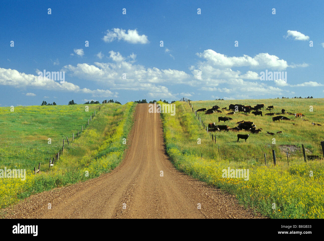 Route de terre du Dakota du Sud rural Banque D'Images