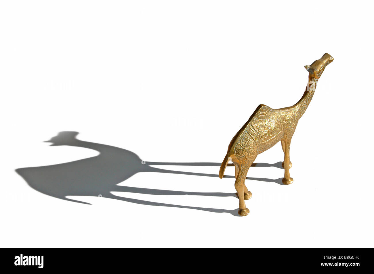 Décorée de bronze camel et son ombre. Banque D'Images