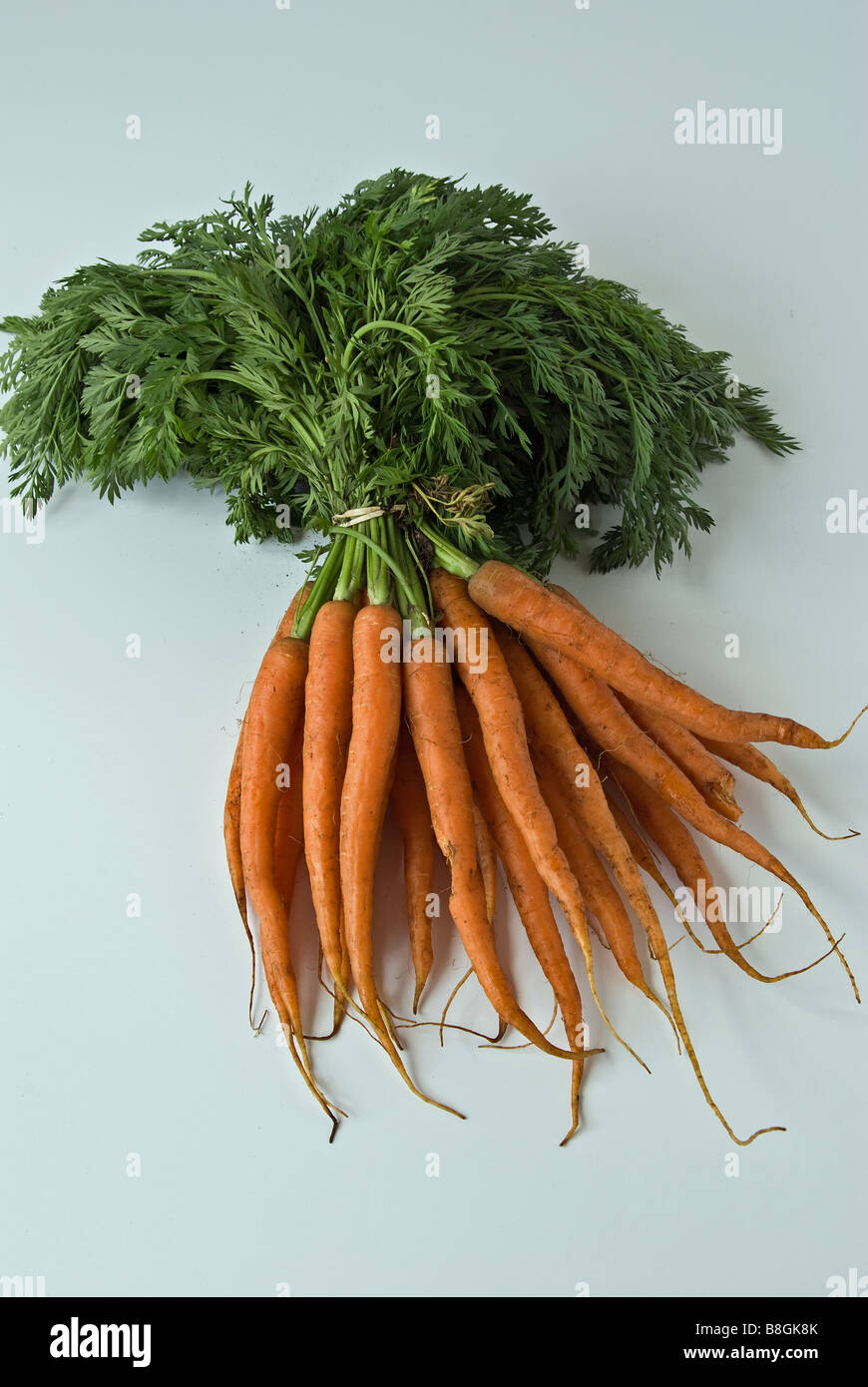 Un tas de carottes fraîches Banque D'Images