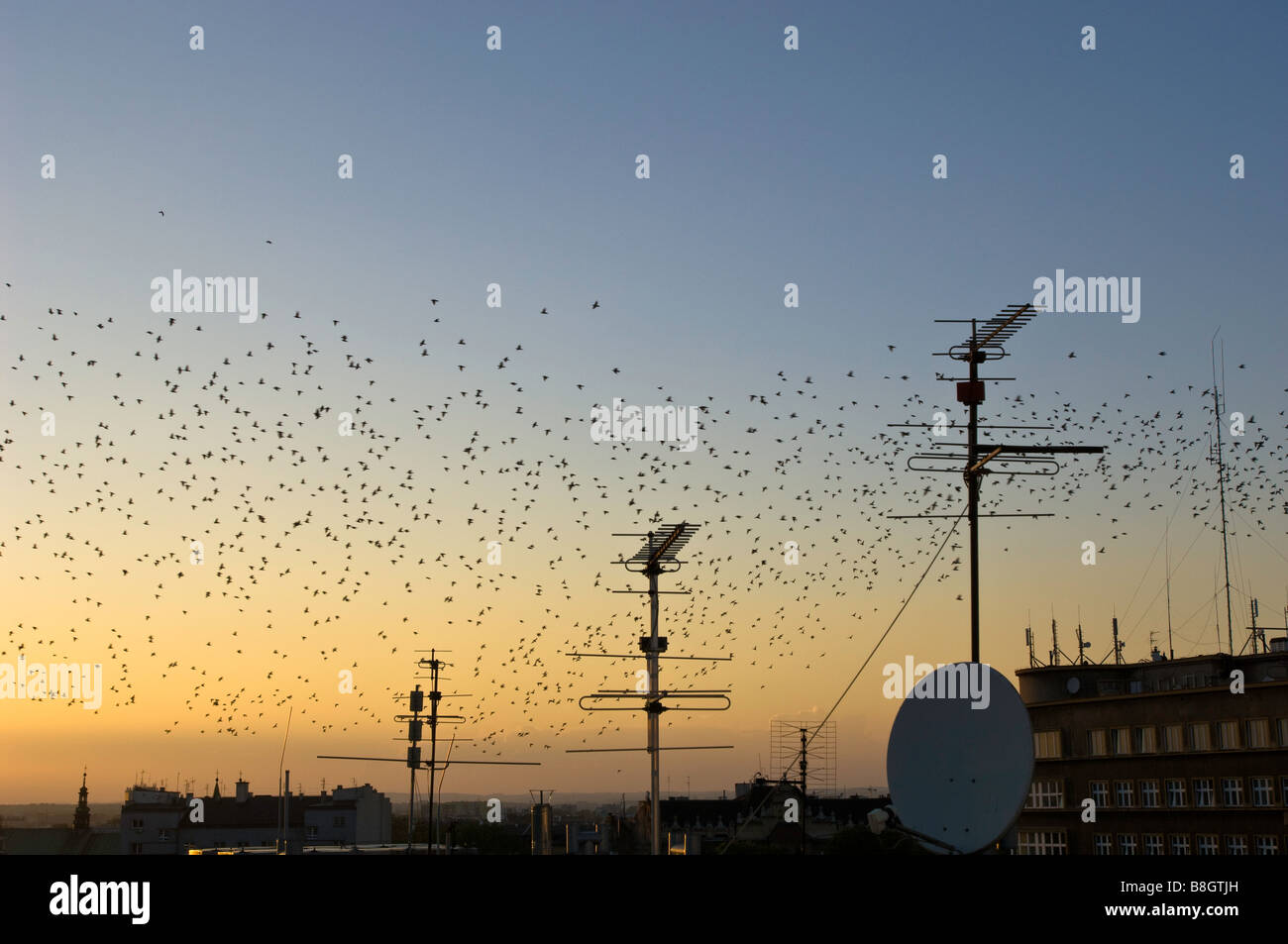 Pologne Cracovie toits de la vieille ville au coucher du soleil Banque D'Images