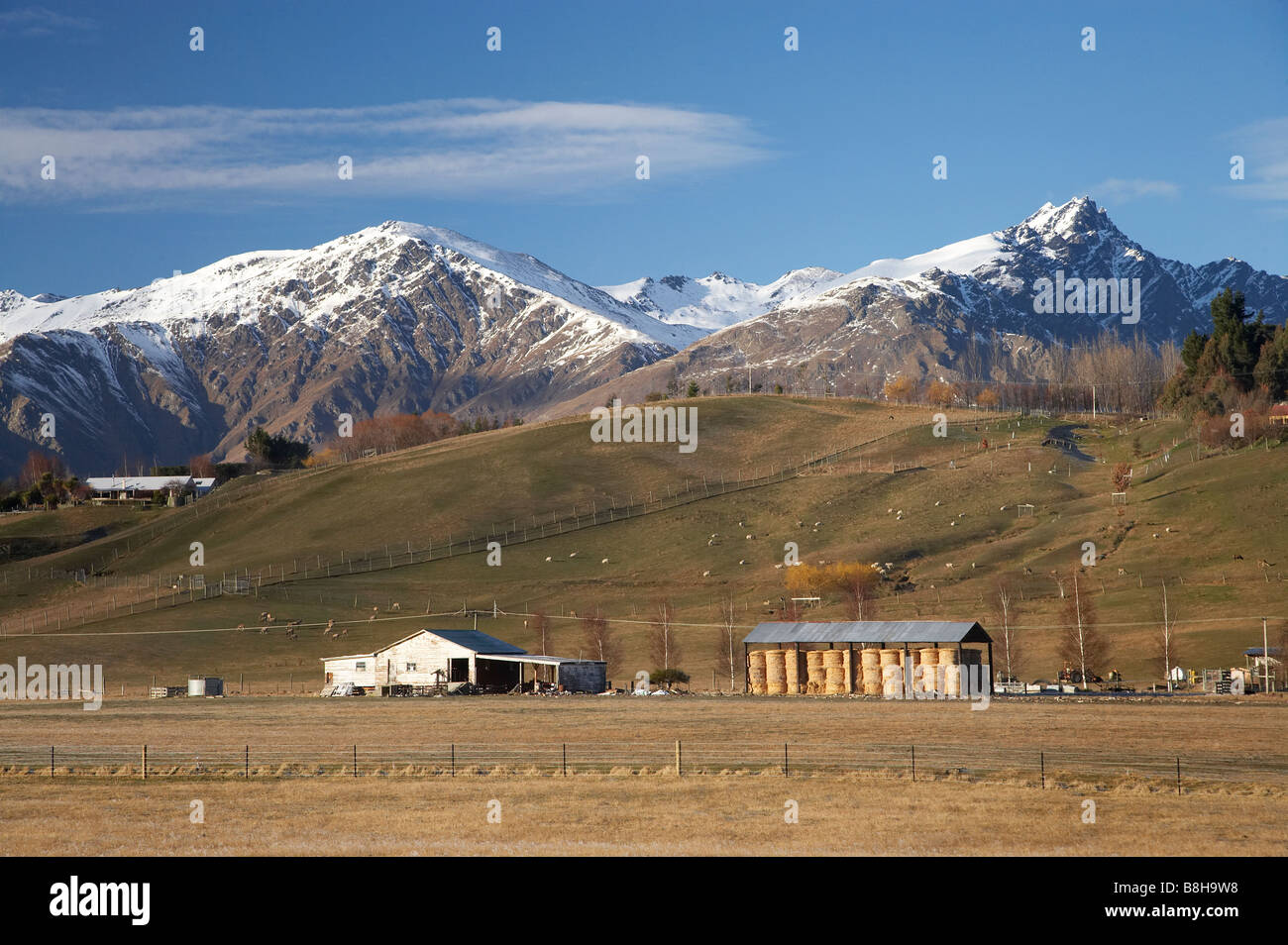 Les terres agricoles et de la protection du bassin du foin de Wakatipu près de Queenstown ile sud Nouvelle Zelande Banque D'Images