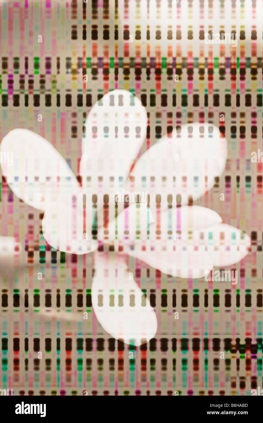 Photo-graphique illustration de fleur de printemps Banque D'Images