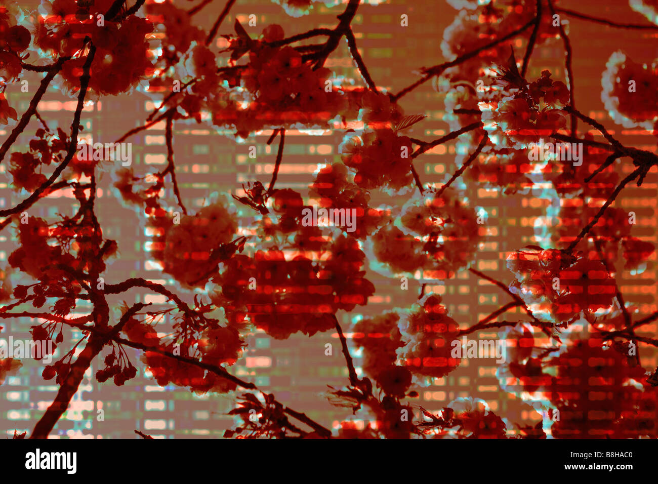 Photo-graphique illustration de fleur de printemps Banque D'Images