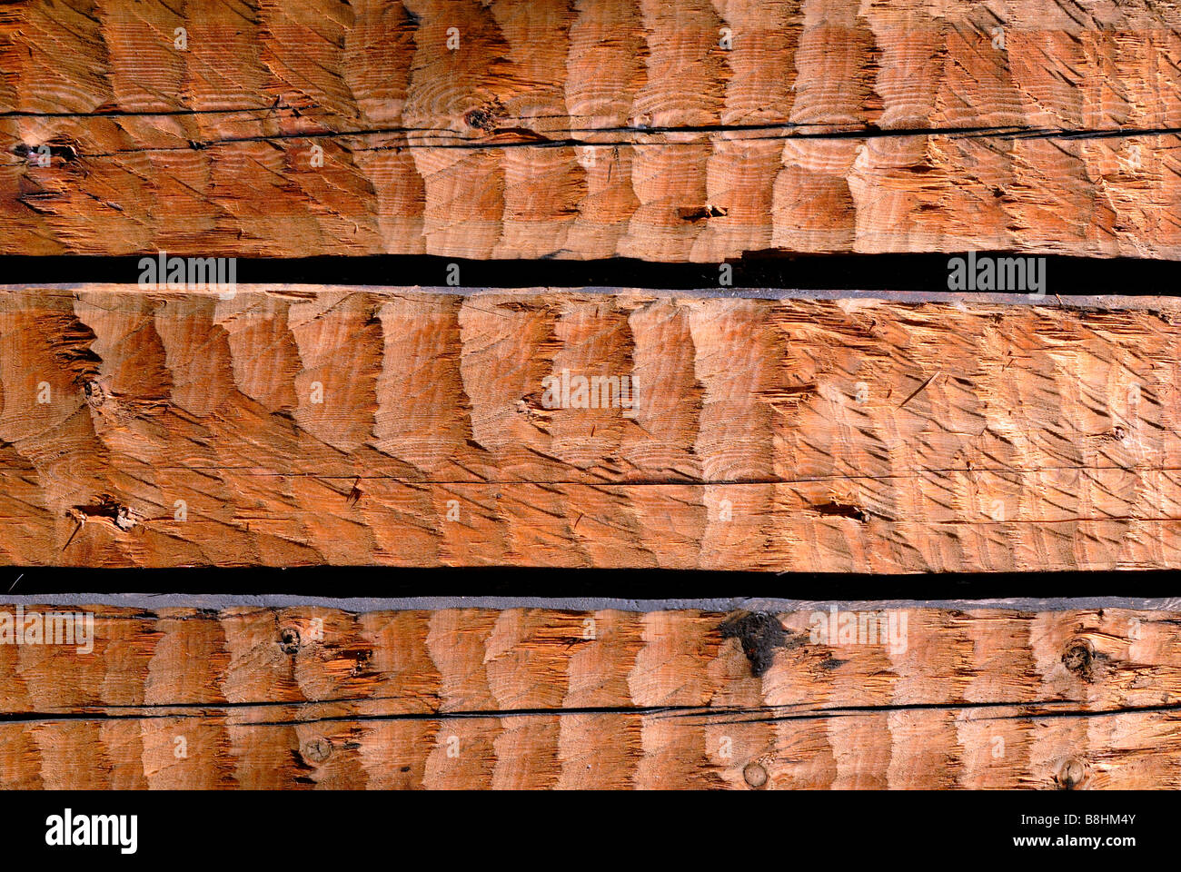 L'amende résumé détails de la forêt de pins, Pinus sylvestris, log mur, Finlande, Scandinavie, l'Europe. Banque D'Images