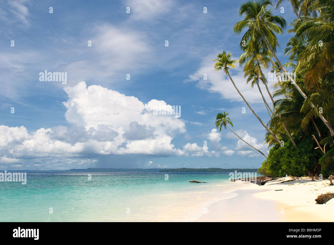 Tropical Island mer ciel et palmiers Banque D'Images