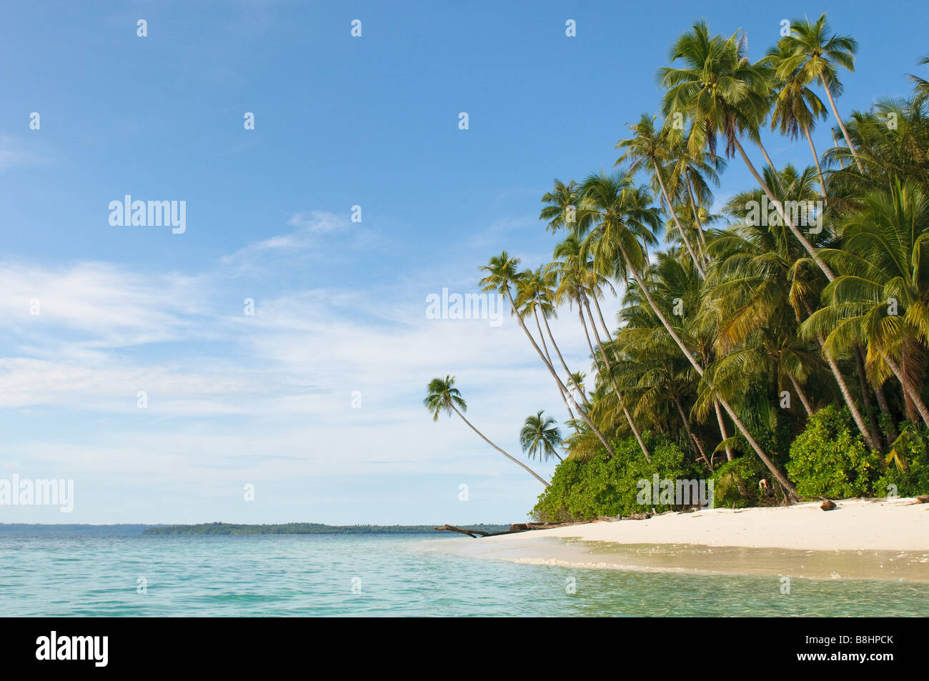 Tropical Island mer ciel et palmiers Banque D'Images