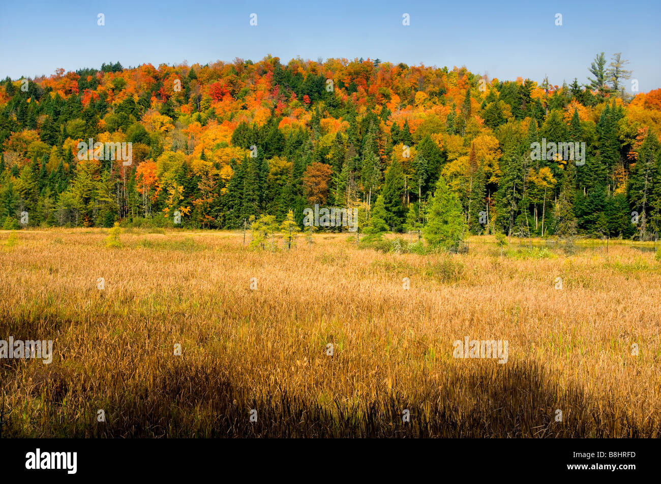 Les montagnes de l'Adirondack en feu en couleur des feuilles d'automne dans l'État de New York USA Banque D'Images