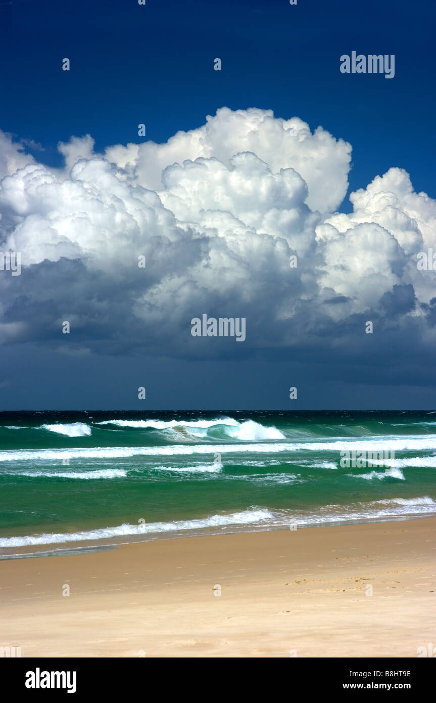 Route De Sable Entouré De Cocotiers Près Dune Belle Plage