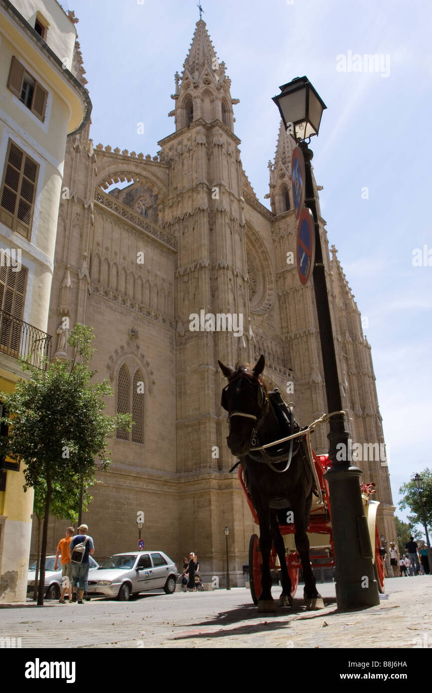 Un cheval se tient juste en face de la Seu la cathédrale dans la vieille ville historique de Palma. Banque D'Images