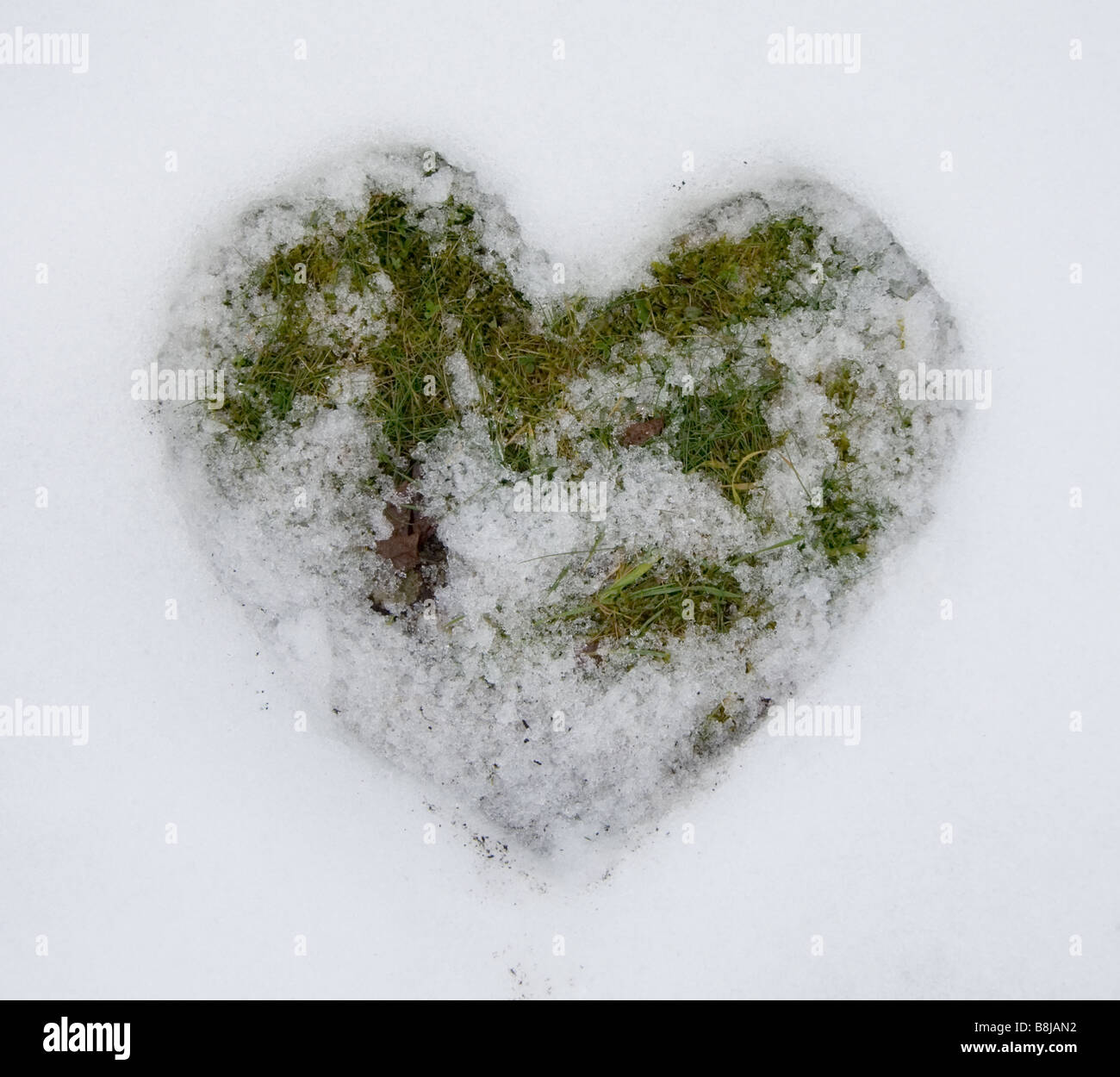 Forme de coeur gravé dans la fonte de la neige en herbe Banque D'Images