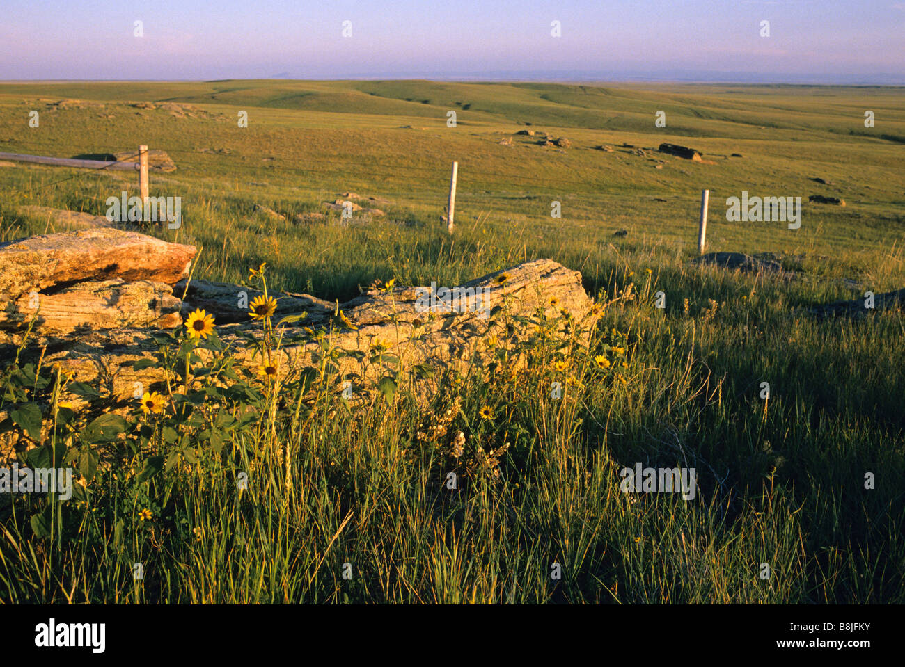 La prairie de la prairie dans le Dakota du Sud Banque D'Images