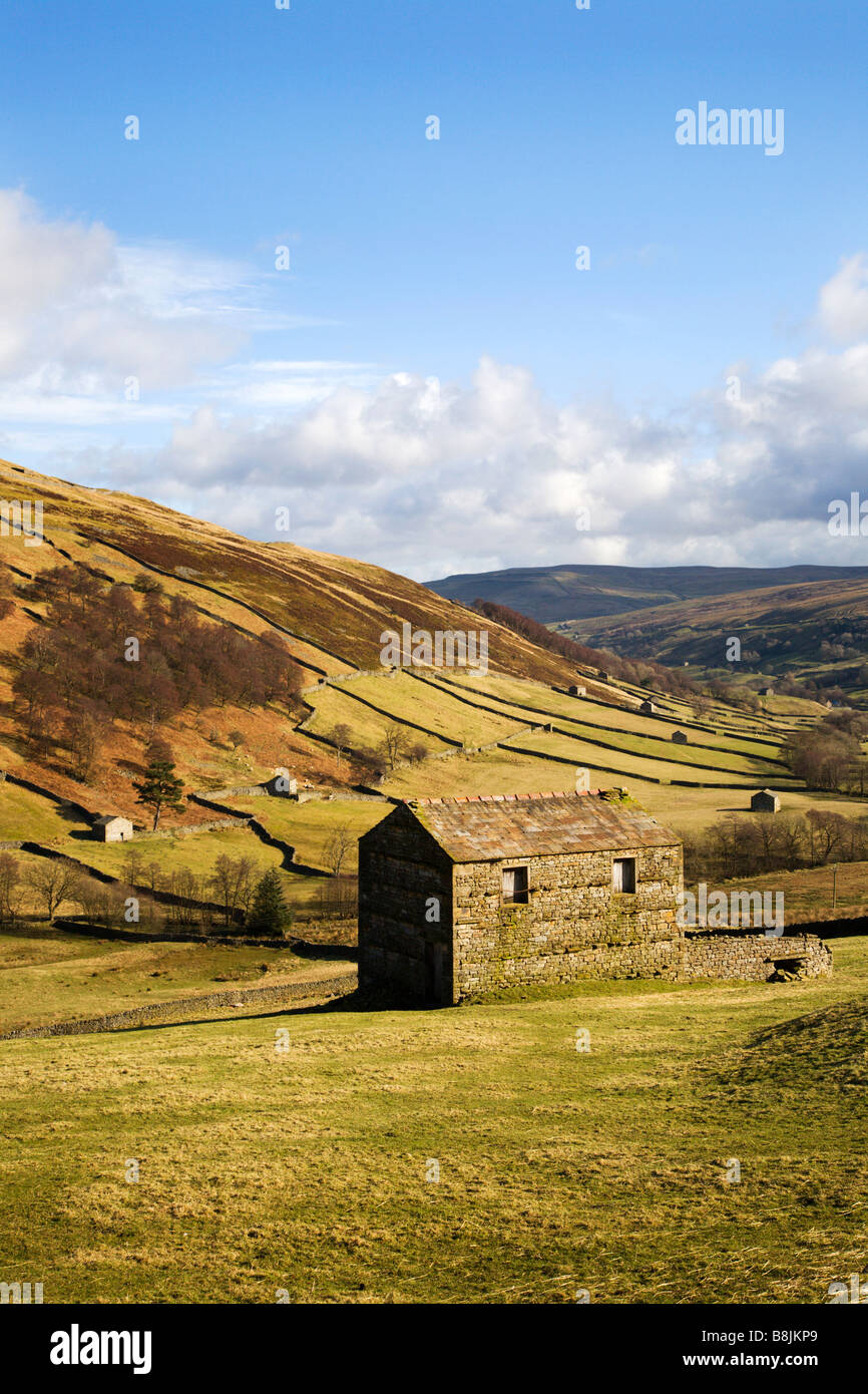 Domaine des granges dans Swaledale près de Keld Yorkshire Dales England Banque D'Images