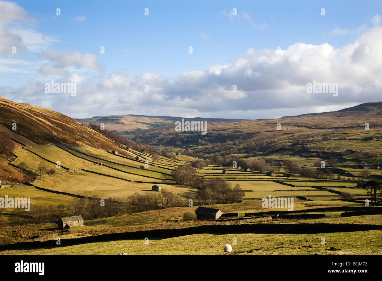 Domaine des granges dans Swaledale près de Keld Yorkshire Dales England Banque D'Images