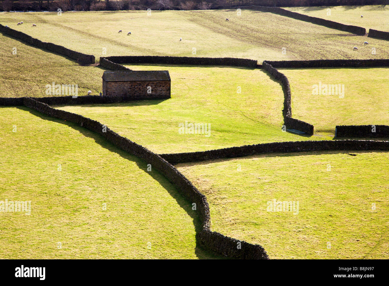 Domaine Grange et murs en pierre sèche Gunnerside Swaledale England Yorkshire Dales Banque D'Images