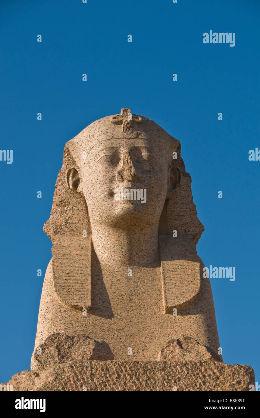 Portrait Sphinx à closeuip Pompeys Alexandrie Egypte pilier monument historique attraction touristique célèbre symbole égyptien Banque D'Images