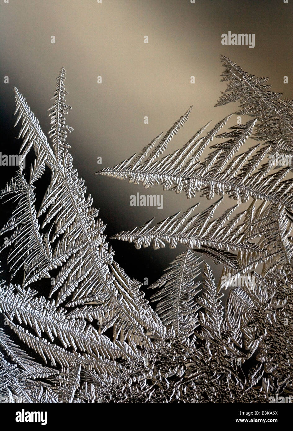 Du givre se forme sur une fenêtre d'hiver glacial. Banque D'Images