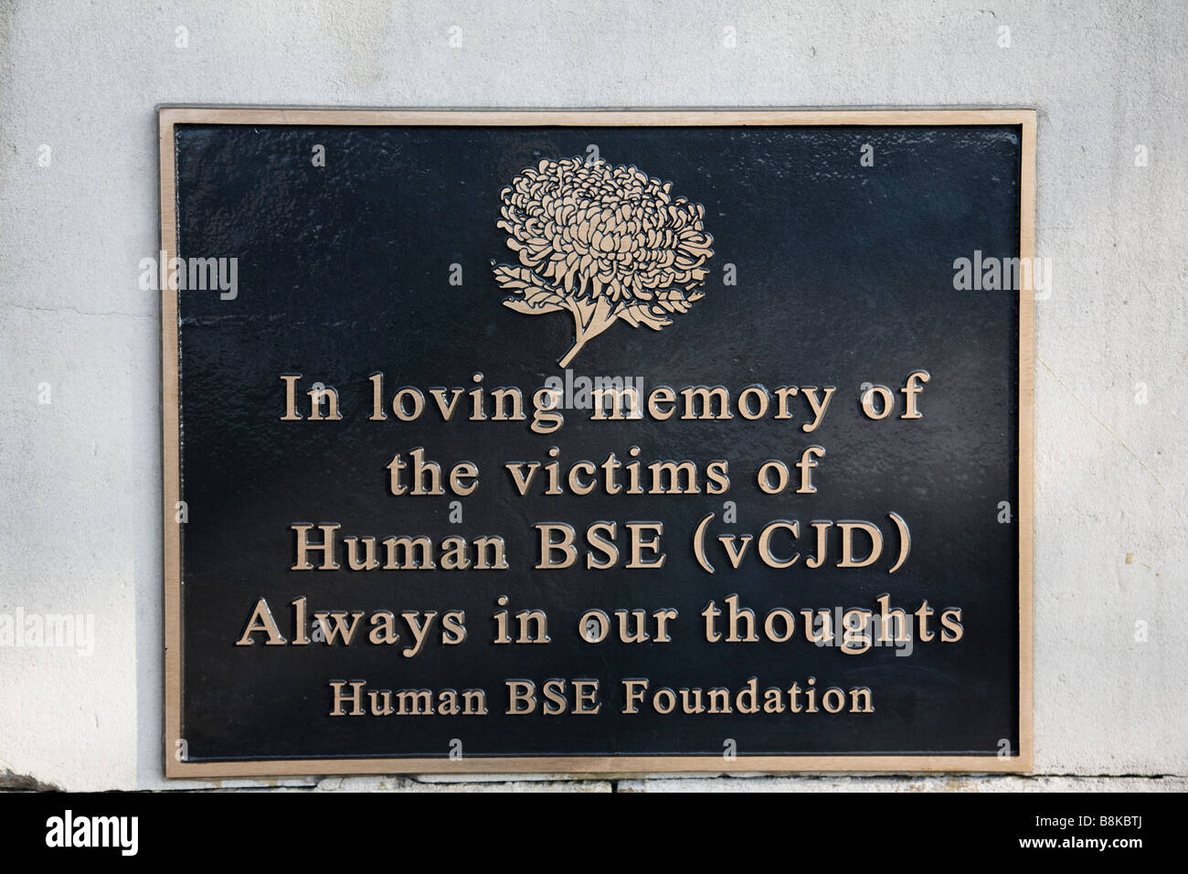Une plaque commémorative pour les victimes de la vache folle sur la promenade près de Westminster Bridge, Londres, Angleterre. Banque D'Images
