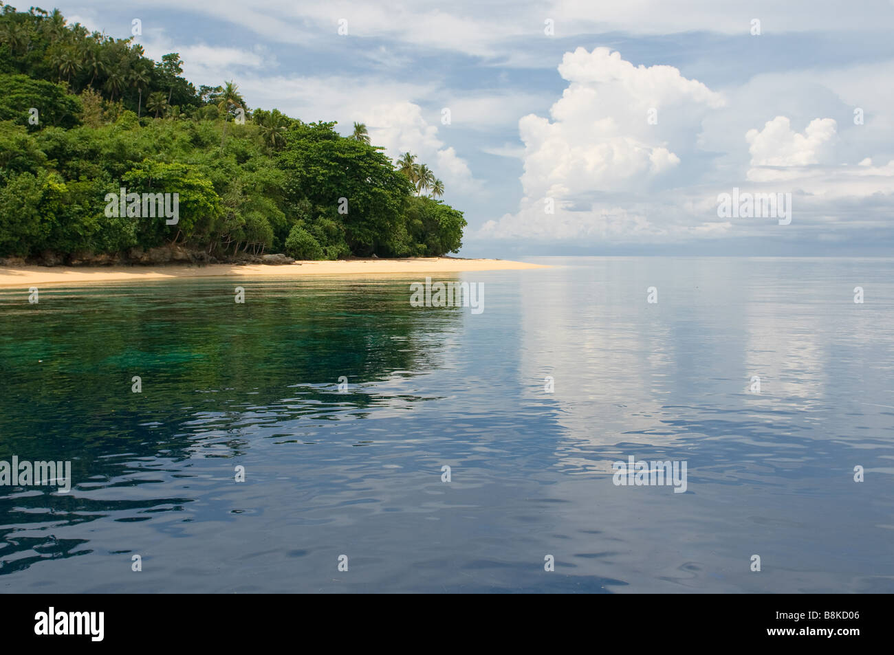 Tropical Island mer ciel et palmiers Banque D'Images