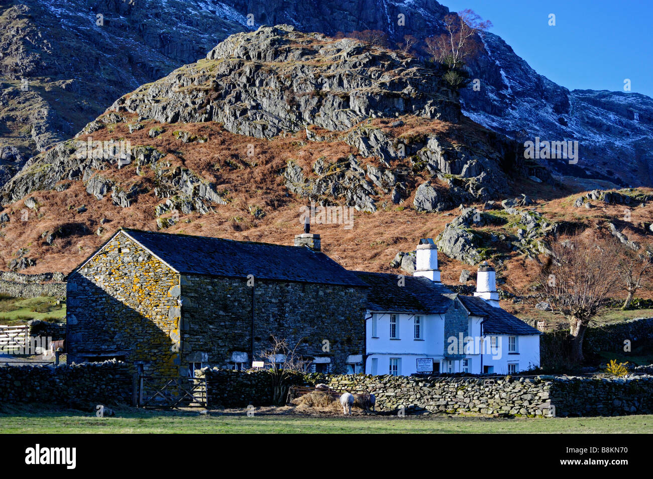 Pied ferme, peu diminué Langdale, Parc National de Lake District, Cumbria, Angleterre, Royaume-Uni, Europe. Banque D'Images