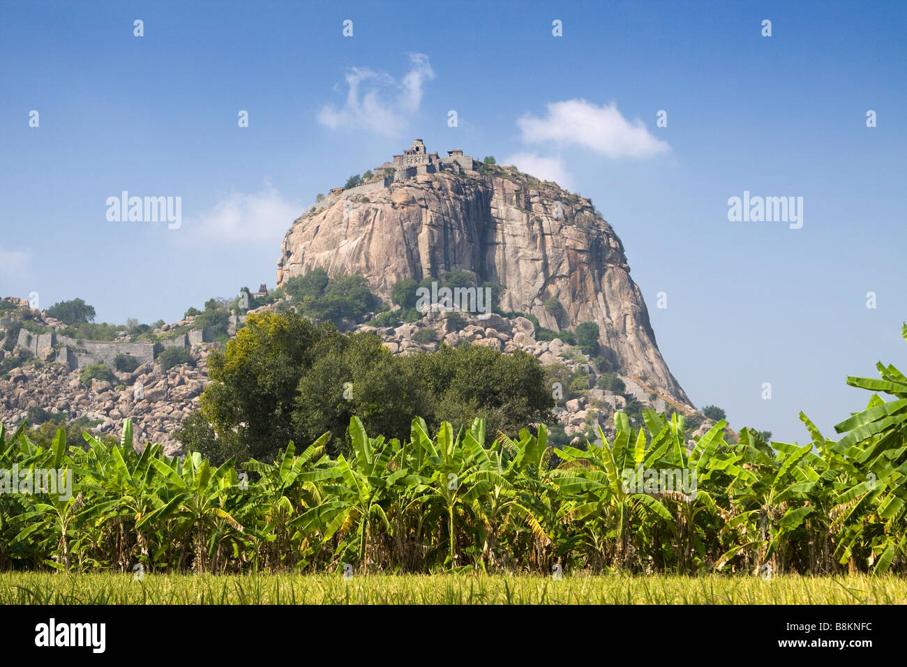 Tamil Nadu Inde Gingee Fort Rajagiri fort perché entre paysage agricole Banque D'Images