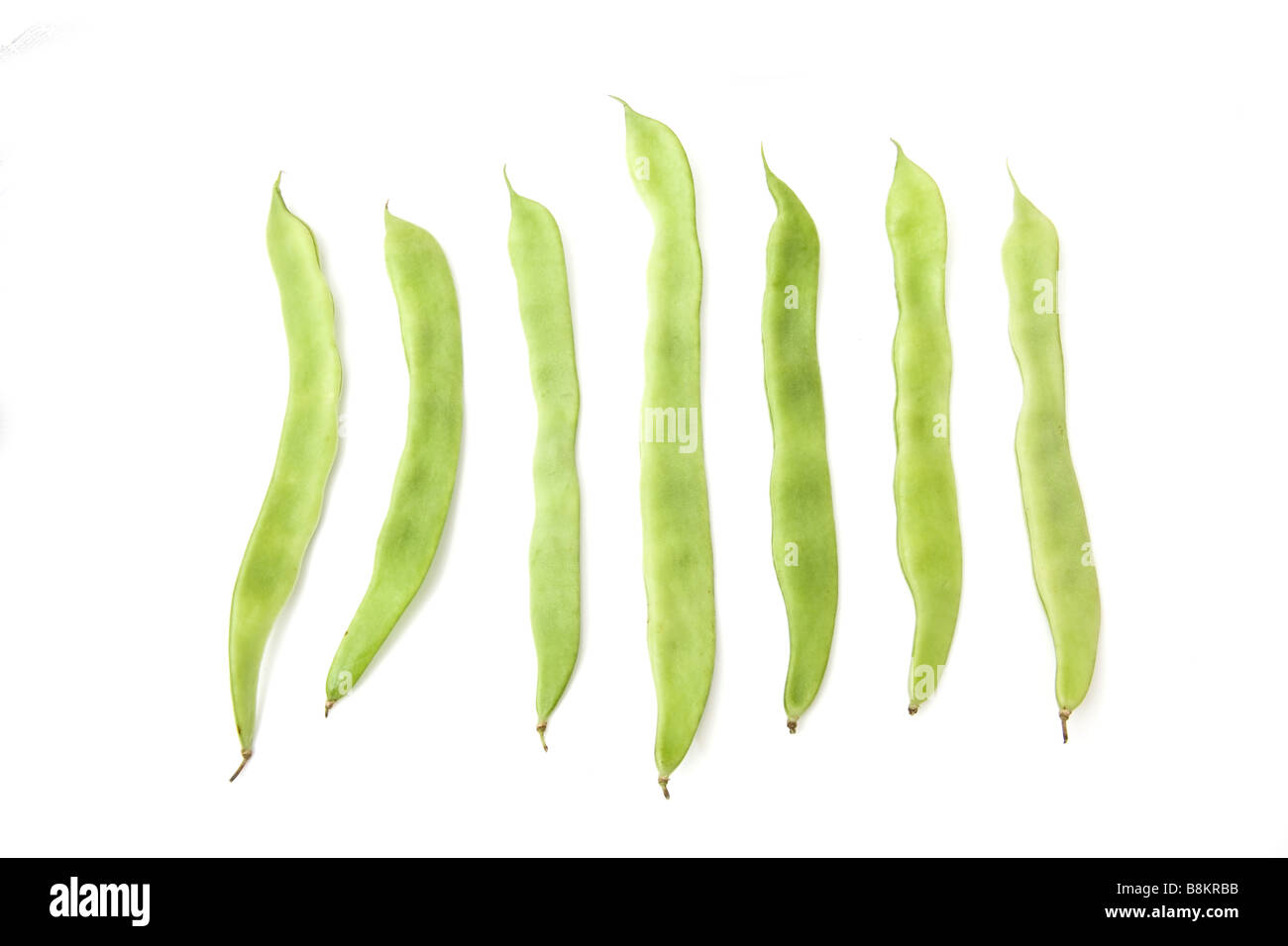 Haricots plats isolated on a white background studio Banque D'Images
