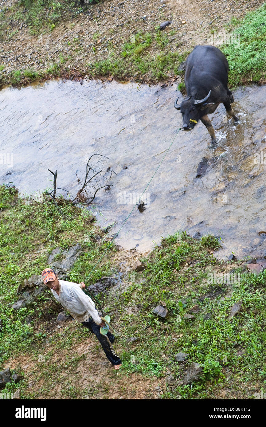 L'homme avec le buffle d'eau Banque D'Images