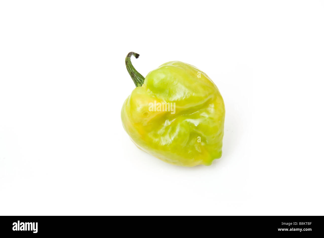 West Indian poivre Scotch Bonnet isolated on a white background studio Banque D'Images