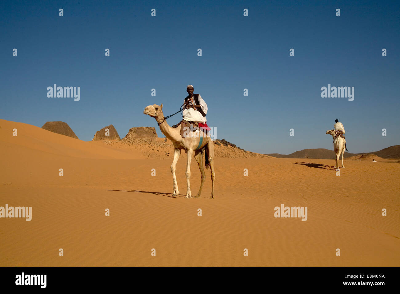 Les cavaliers d'un chameau de la caravane sur les dunes de sable du Sahara occidental près de la pyramide de Rois et Pharaons Nubiens à Méroé nécropole Soudan Nubie Banque D'Images