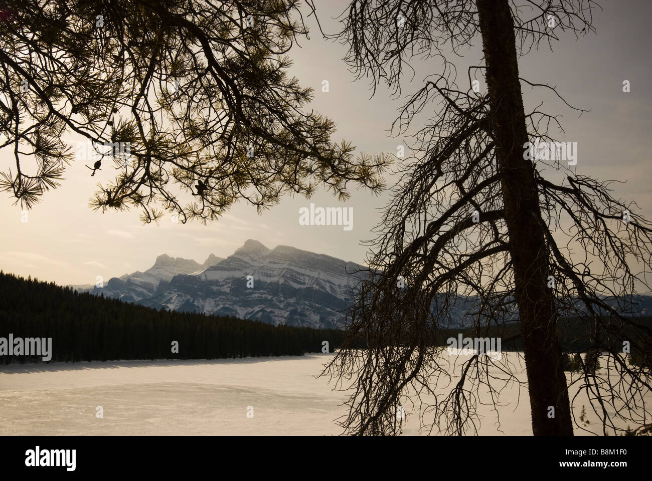 Le lac Two Jack, Banff National Park, Alberta, Canada. Banque D'Images