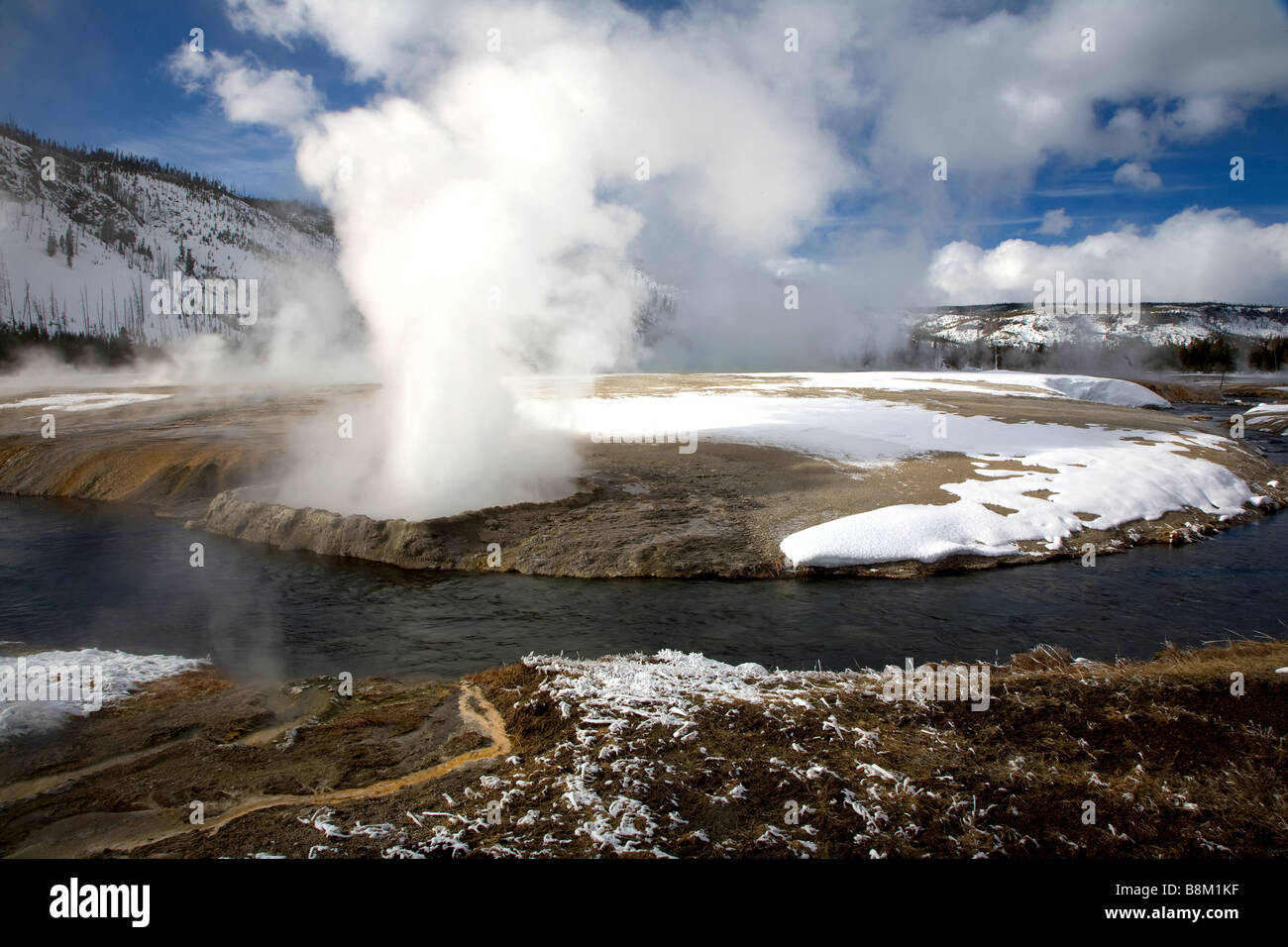 Geyser en éruption dans le Parc National de Yellowstone, Wyoming Banque D'Images