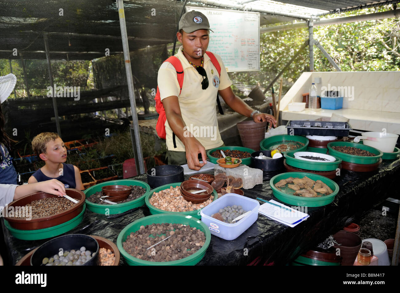 Explaininig guide mauricien seeds à kid, Ile aux Aigrettes, réserve naturelle de l'île Maurice Banque D'Images