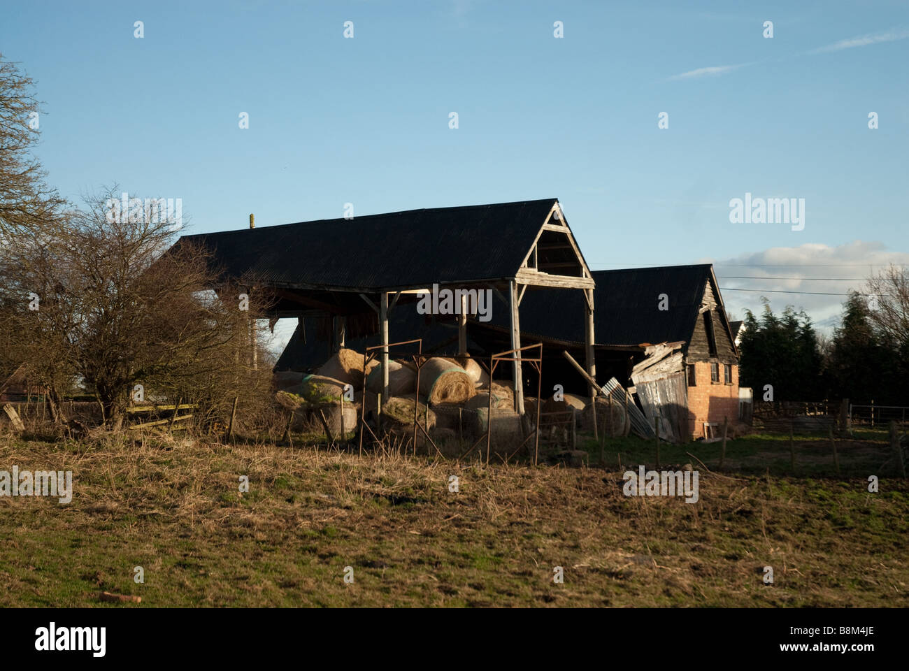 Une vieille grange rustique dans un champ illuminé par le soleil d'or. Banque D'Images