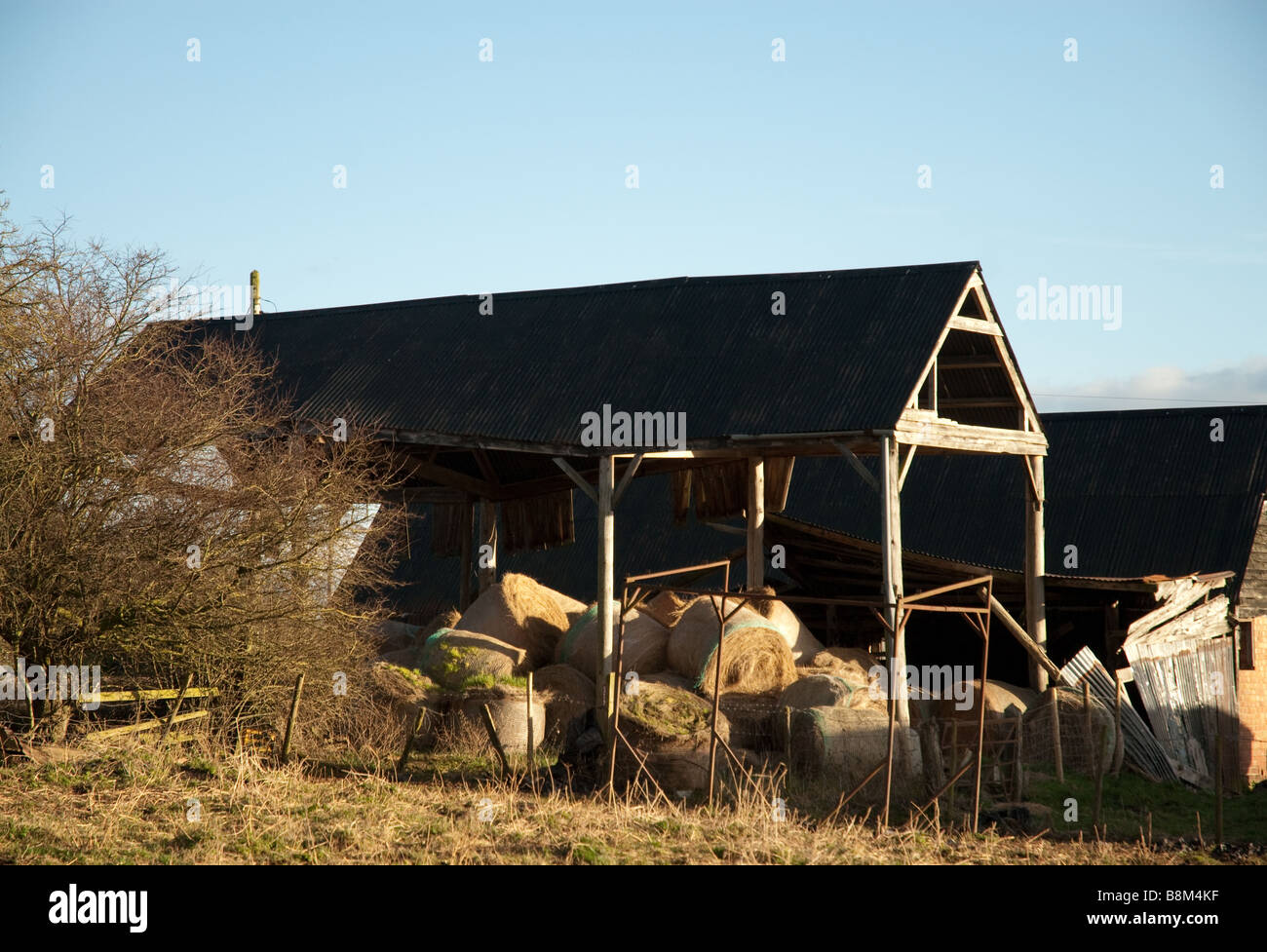 Une vieille grange rustique dans un champ illuminé par le soleil d'or. Banque D'Images