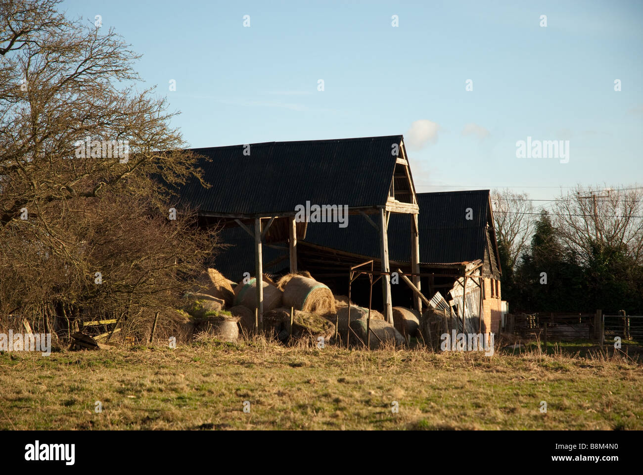 Une vieille grange rustique dans un champ illuminé par le soleil d'or. Banque D'Images