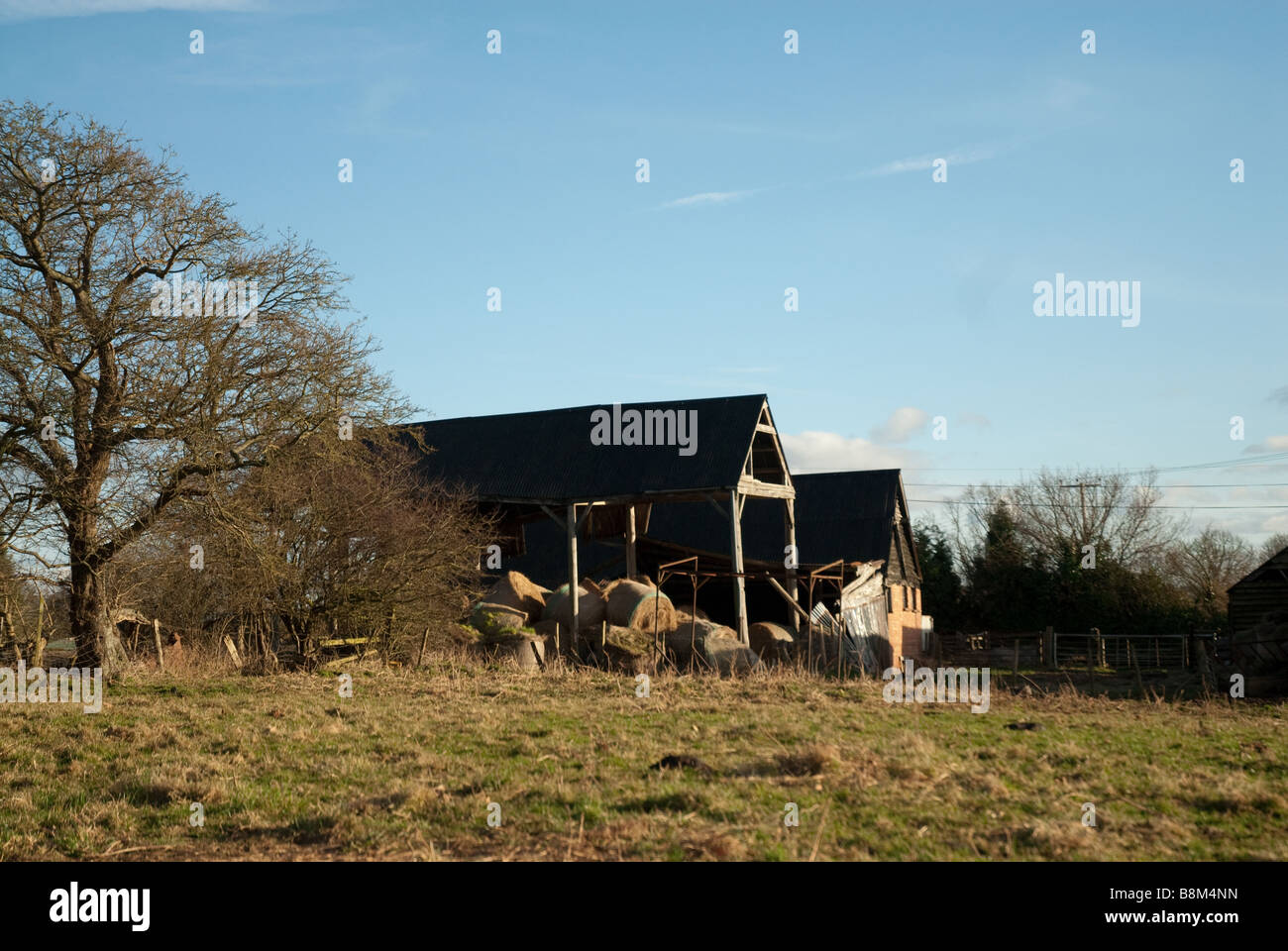 Une vieille grange rustique dans un champ illuminé par le soleil d'or. Banque D'Images