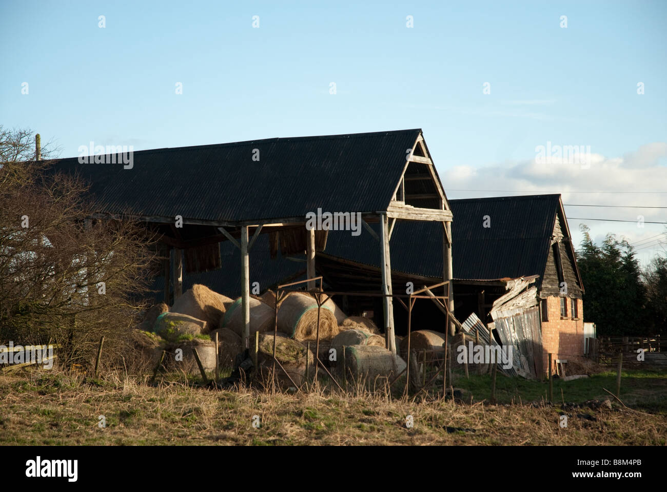 Une vieille grange rustique dans un champ illuminé par le soleil d'or. Banque D'Images